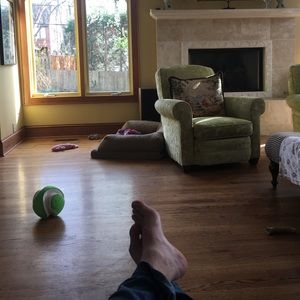 Meet your Posher, Joe