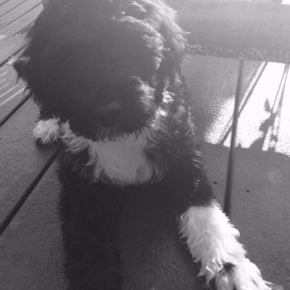 Meet your Posher, Heather