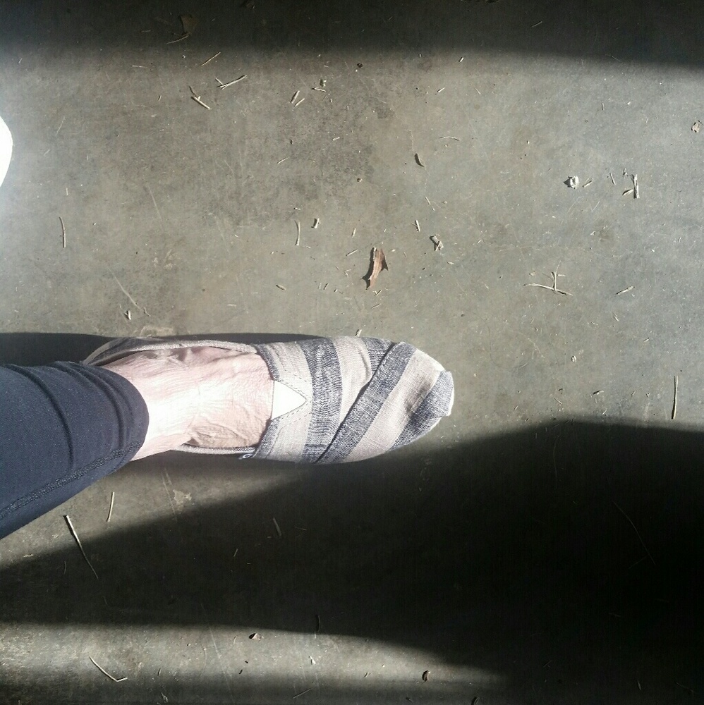 Toms