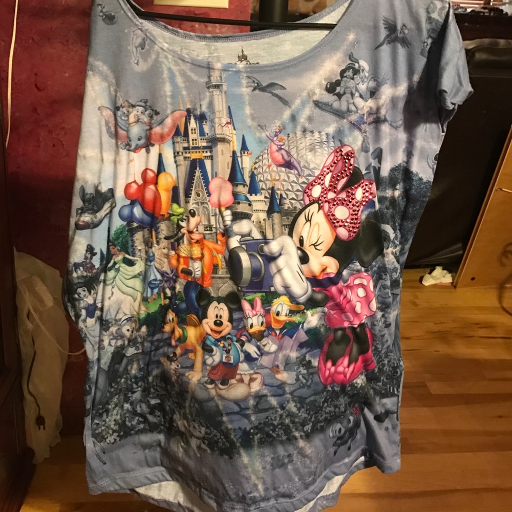 Disney at the Castle with characters