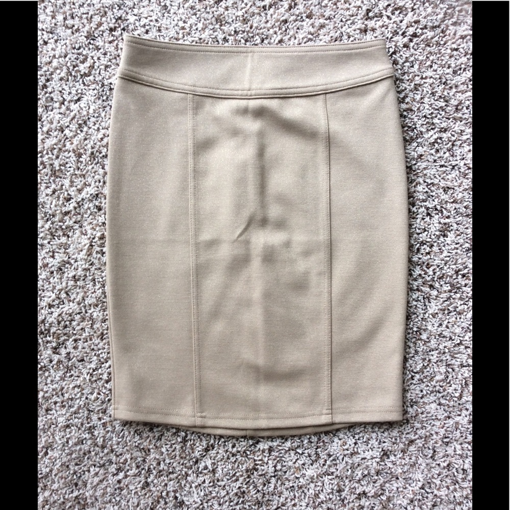 Forever Twentyone Bodycon Skirt