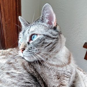 Meet your Posher, littlejayblue