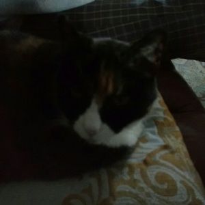 Meet your Posher, Christine