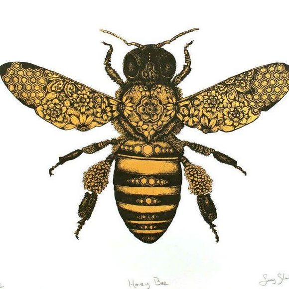 Meet your Posher, Courtney - Picture 1 of 1