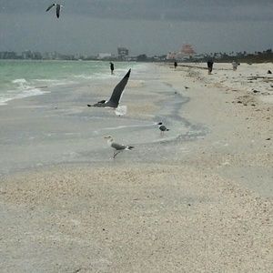 Meet your Posher, Shantell