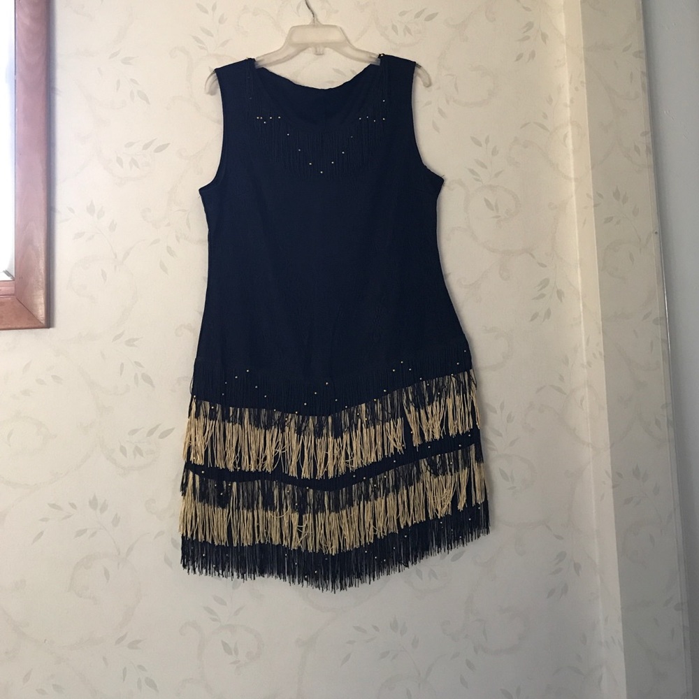 Roarin 20's fringed flapper dress