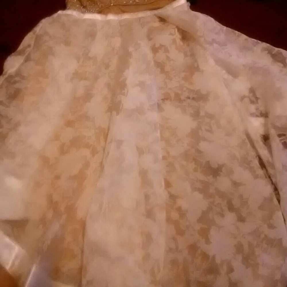 New Prom Dress - Picture 4 of 8