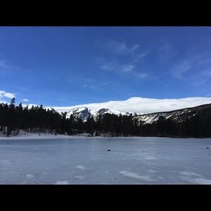 Meet your Posher, Bryce