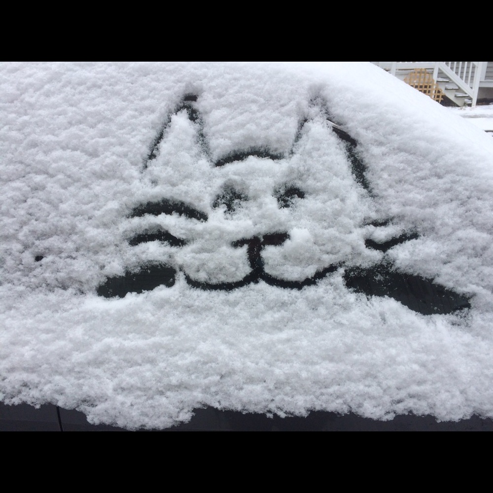 Meet your Posher, Shar