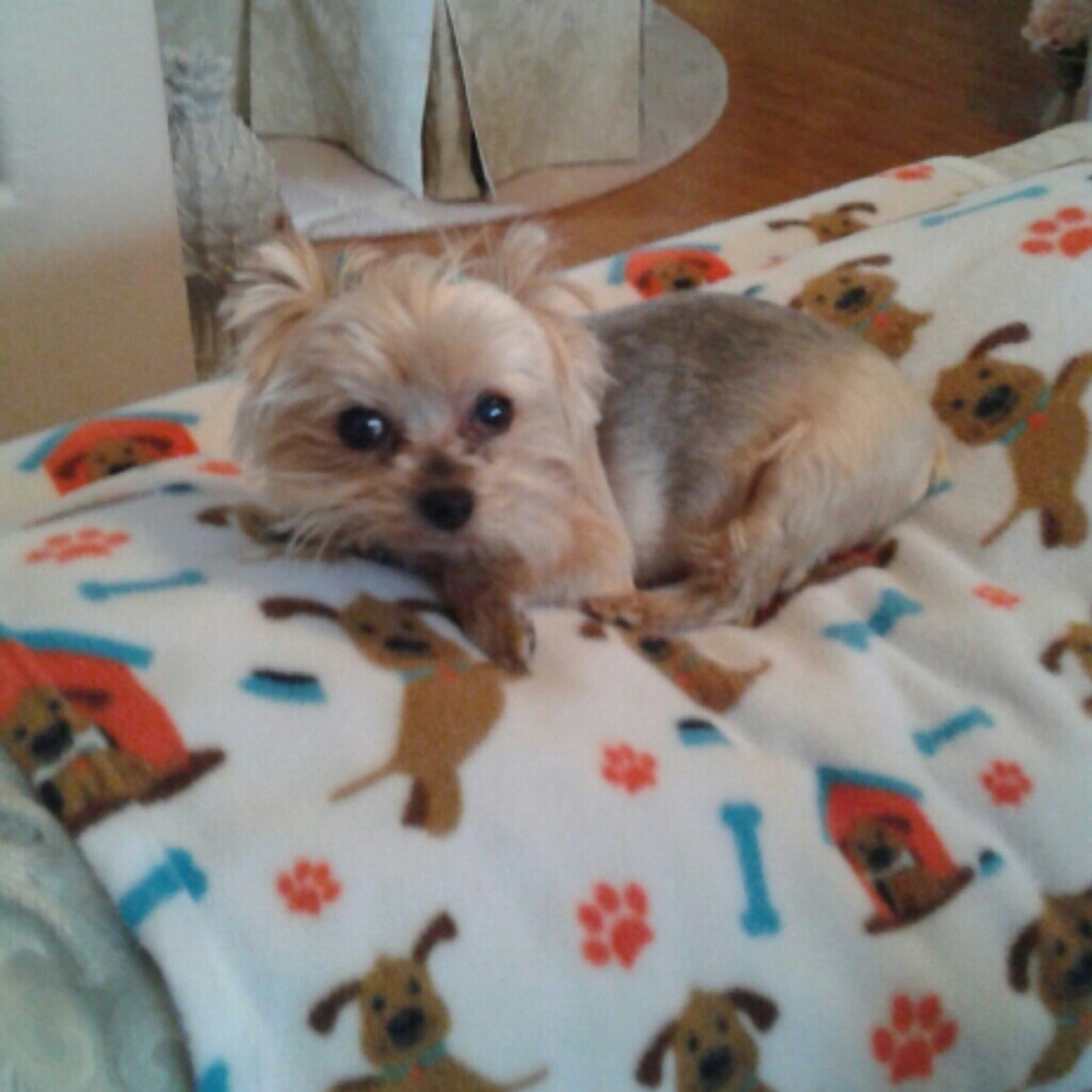 Meet your Posher, Cathy