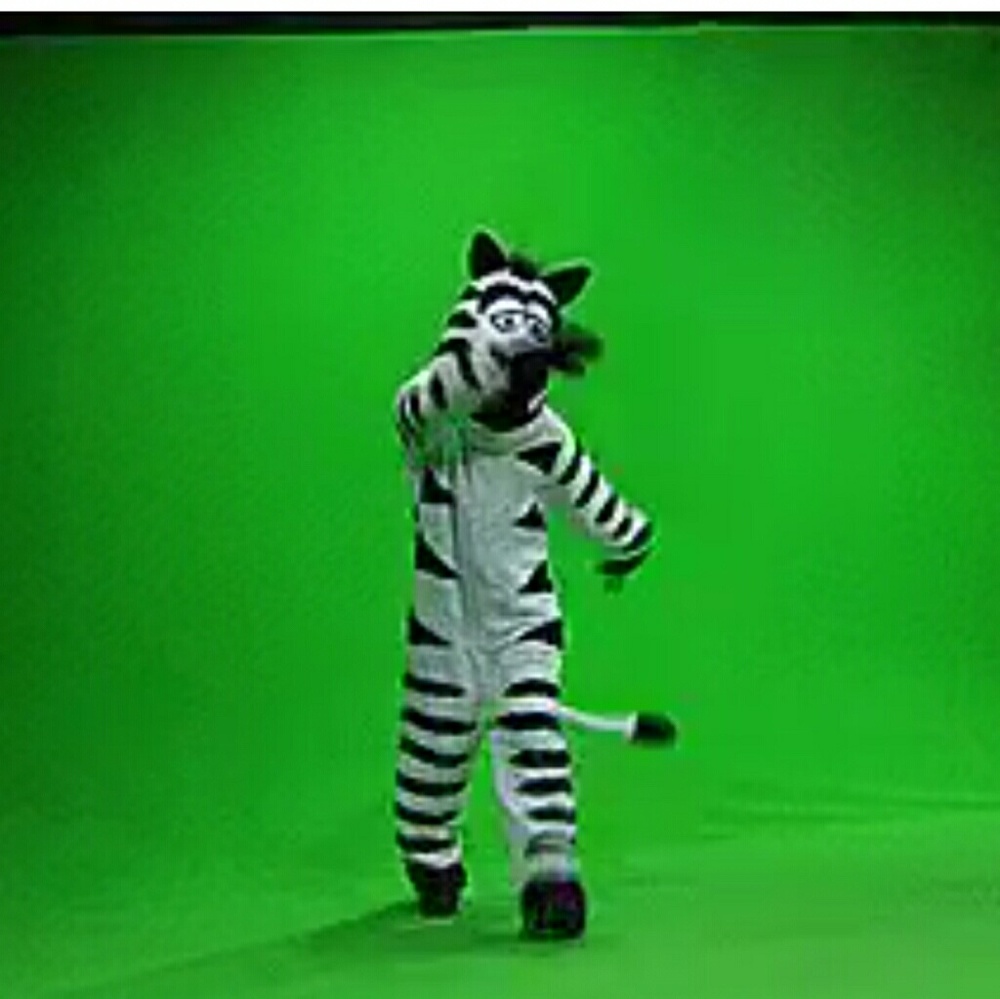 Zebras. Buy One Get One. Ask everyone wants one