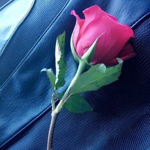 Meet your Posher, Wendy