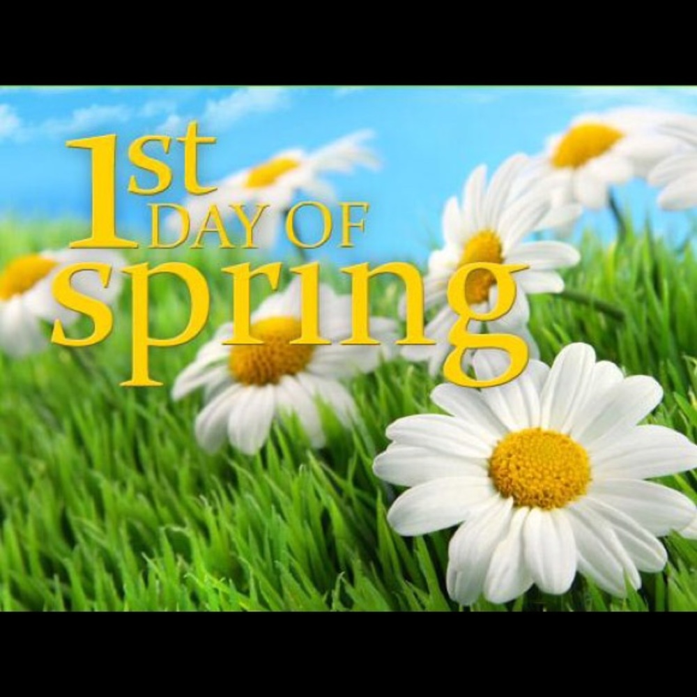 Spring Time Buy Shoes