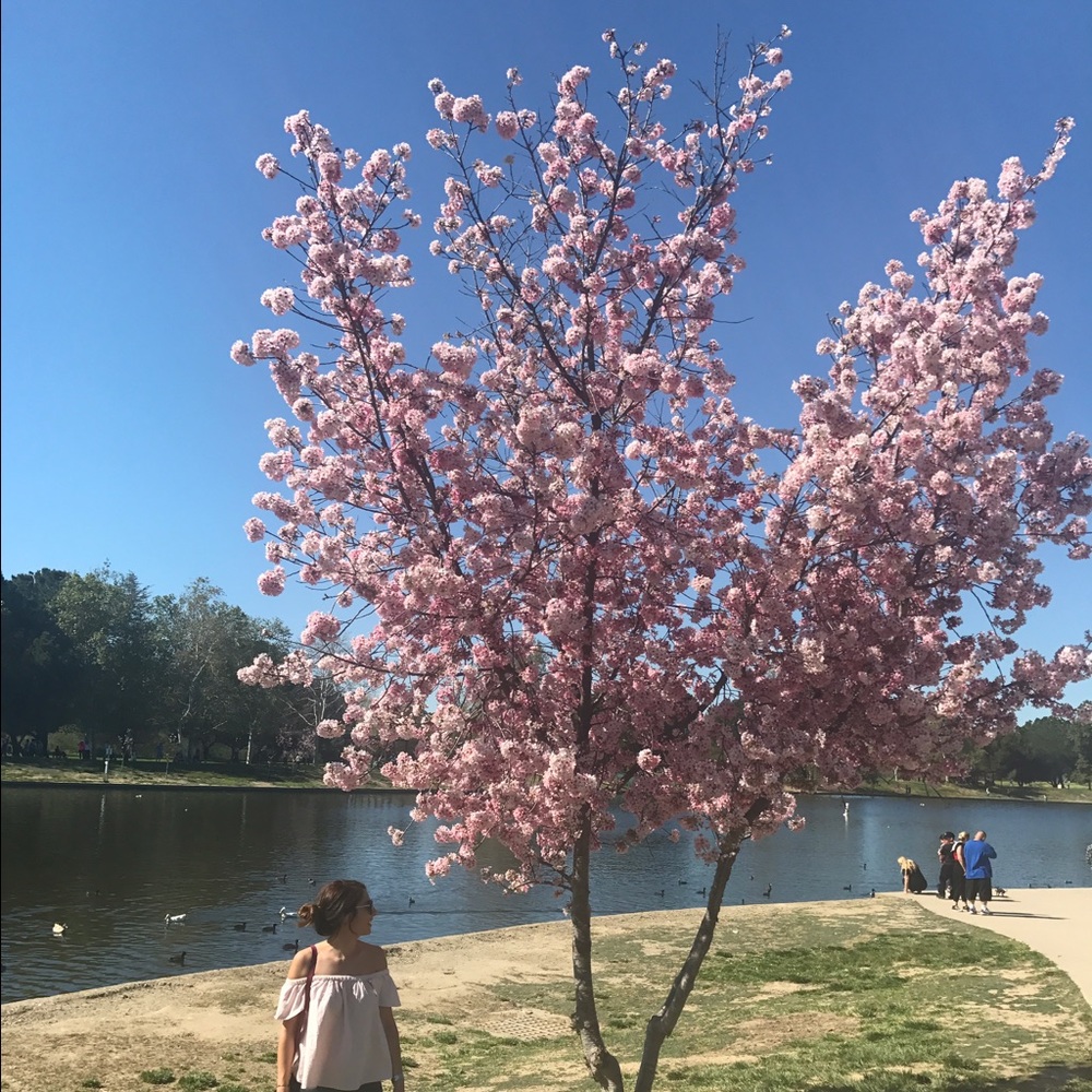 Meet your Posher, Miya