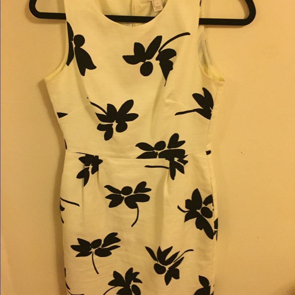 J.Crew dress