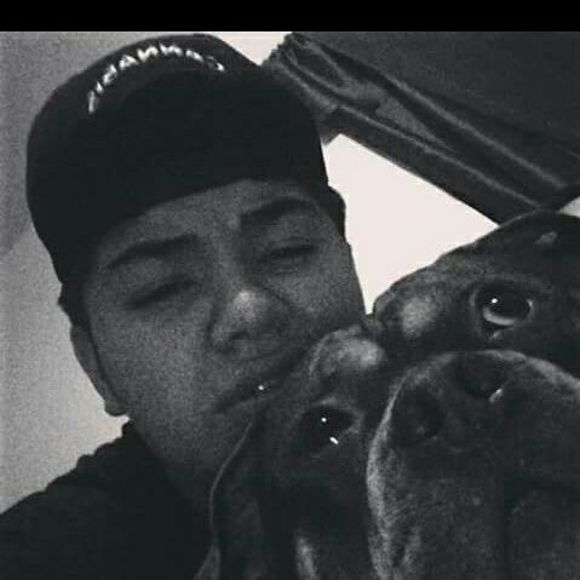 Meet your Posher, Dylan - Picture 1 of 1