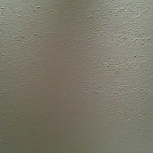 Meet your Posher, Bob