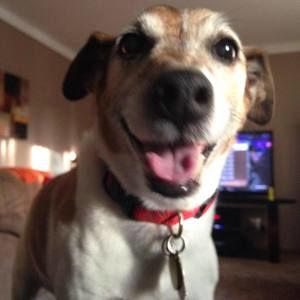 Meet your Posher, Brett