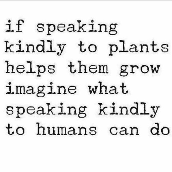 Welcome to our closet! 💜 - Picture 4 of 4