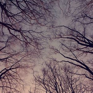 Meet your Posher, Pax