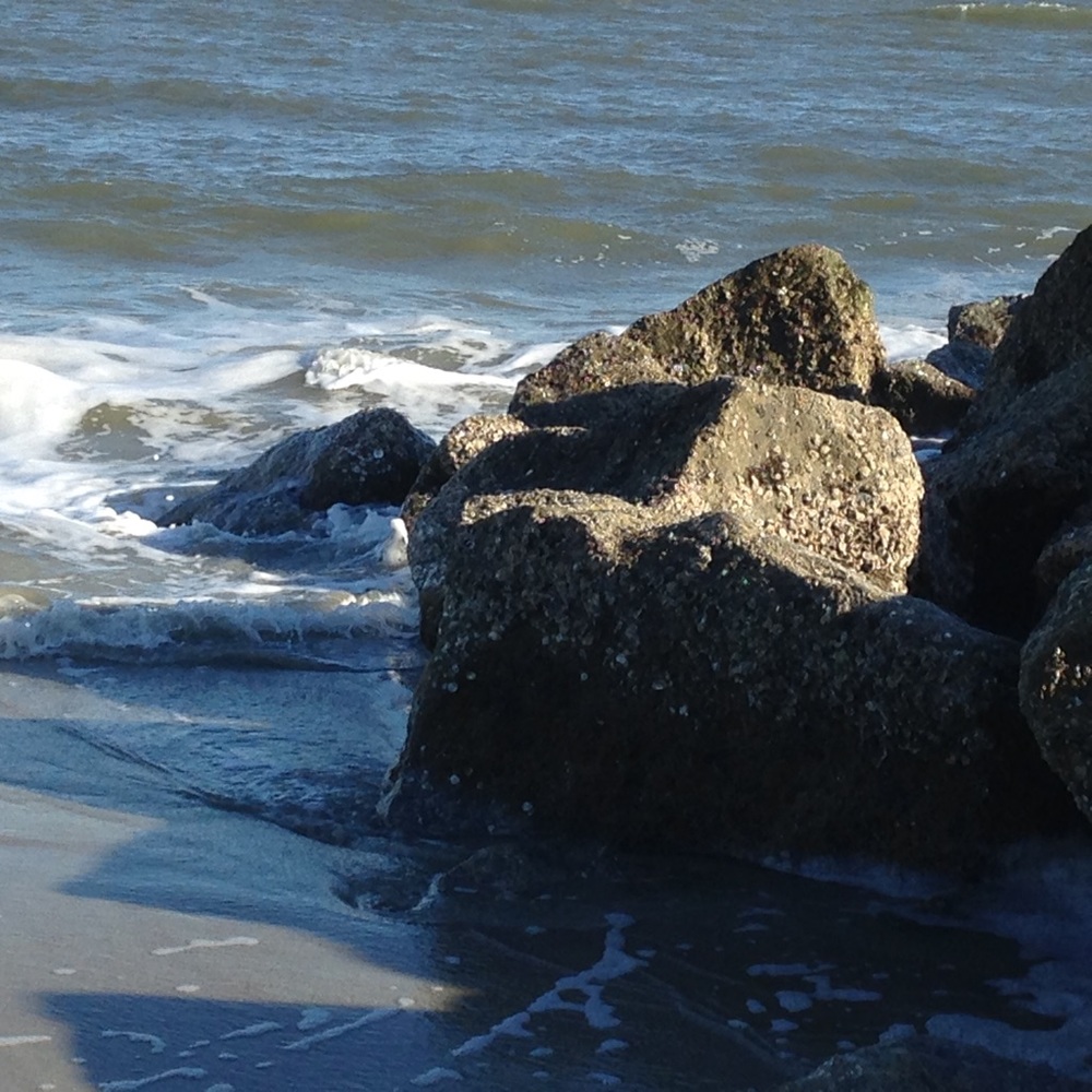 Meet your Posher, Rebecca