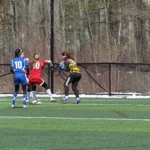 Meet your Posher, Chiloe