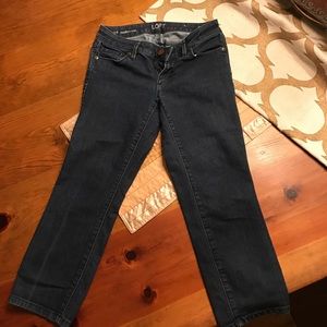 LOFT 2P Modern Crop denim