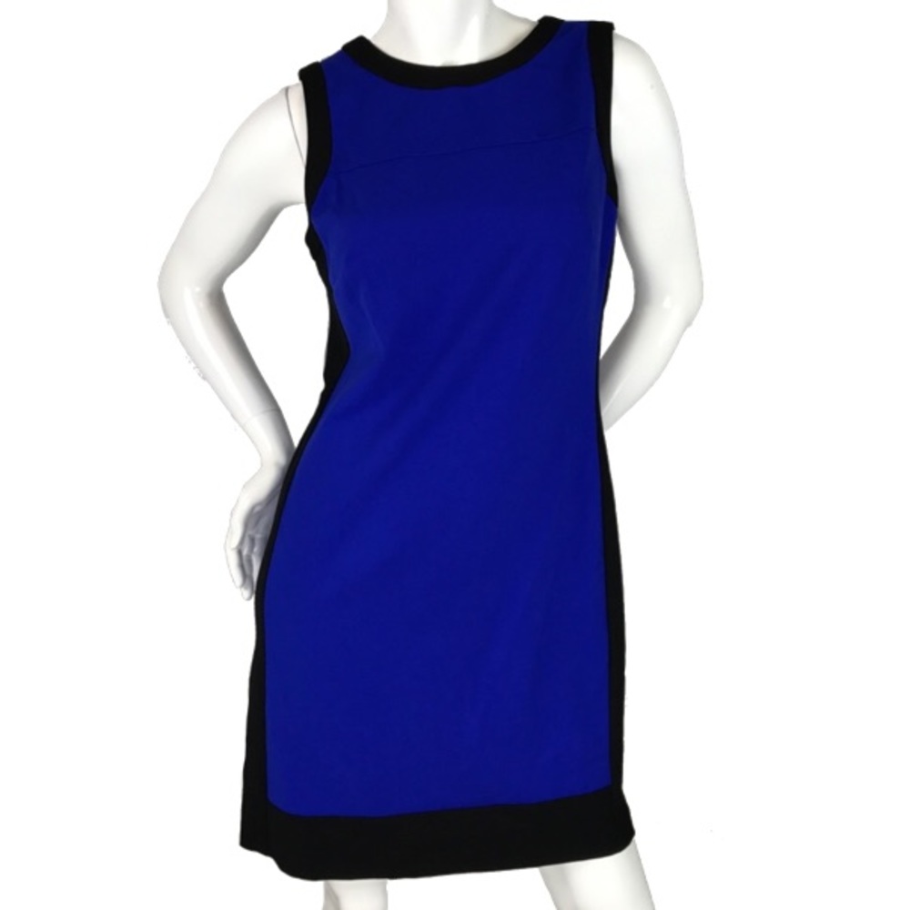 Lauren Ralph Lauren Sleeveless Colorblocked Dress