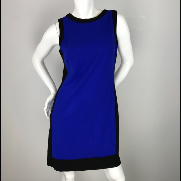 Lauren Ralph Lauren Sleeveless Colorblocked Dress - Picture 5 of 5