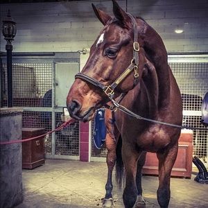 Meet your Posher, Hallie