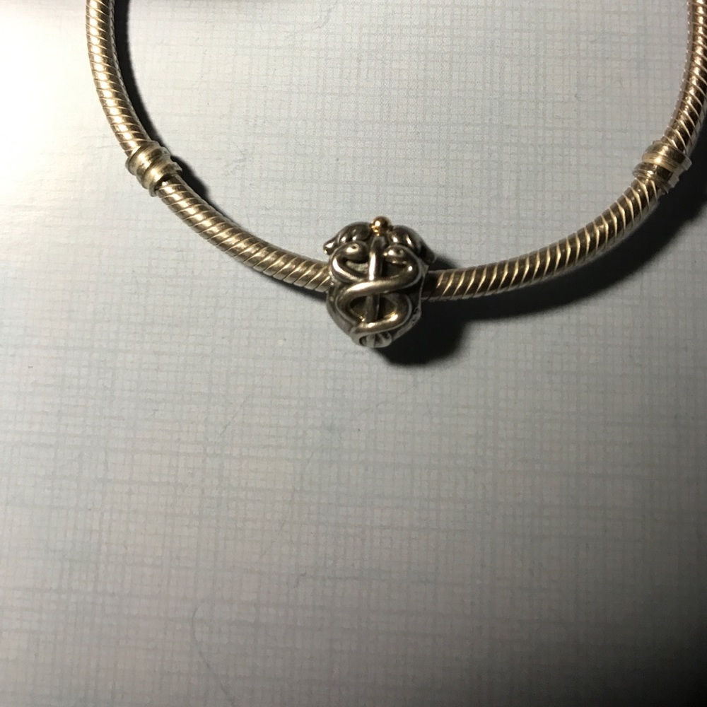 Caduceus PANDORA Charm