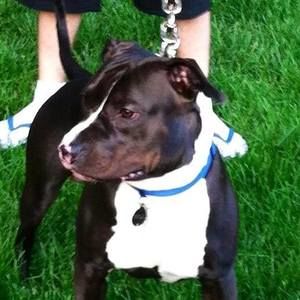 Meet your Posher, Kenneth