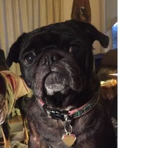 Meet your Posher, Colleen