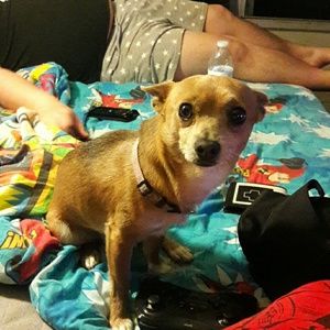 Meet your Posher, Veronica