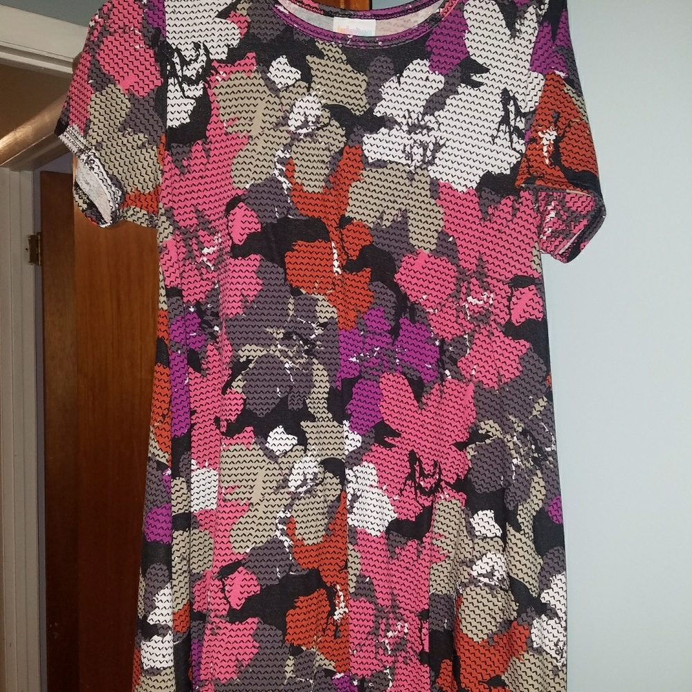 Lularoe carly