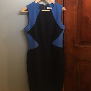 Calvin Klein Color Block Dress