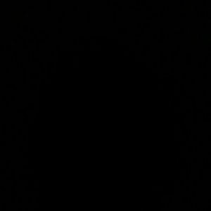 Meet your Posher, Latoya