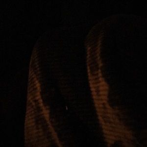 Meet your Posher, Tisha