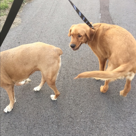 Meet your Posher, Angie - Picture 1 of 1