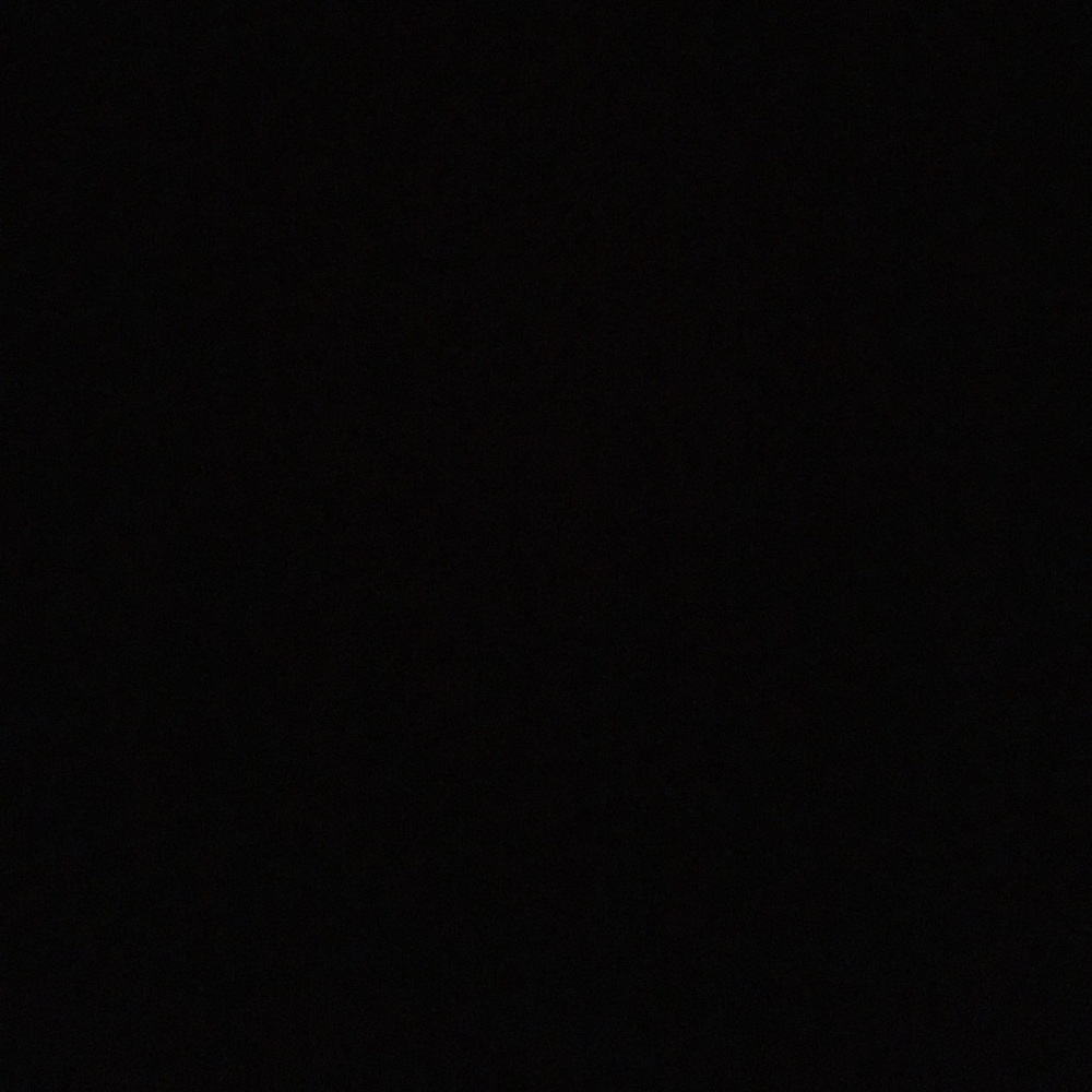 Meet your Posher, Maddy