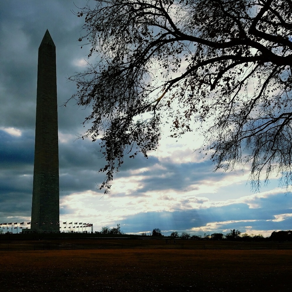 Meet your Posher, Courtney