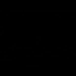 Meet your Posher, Tyisha