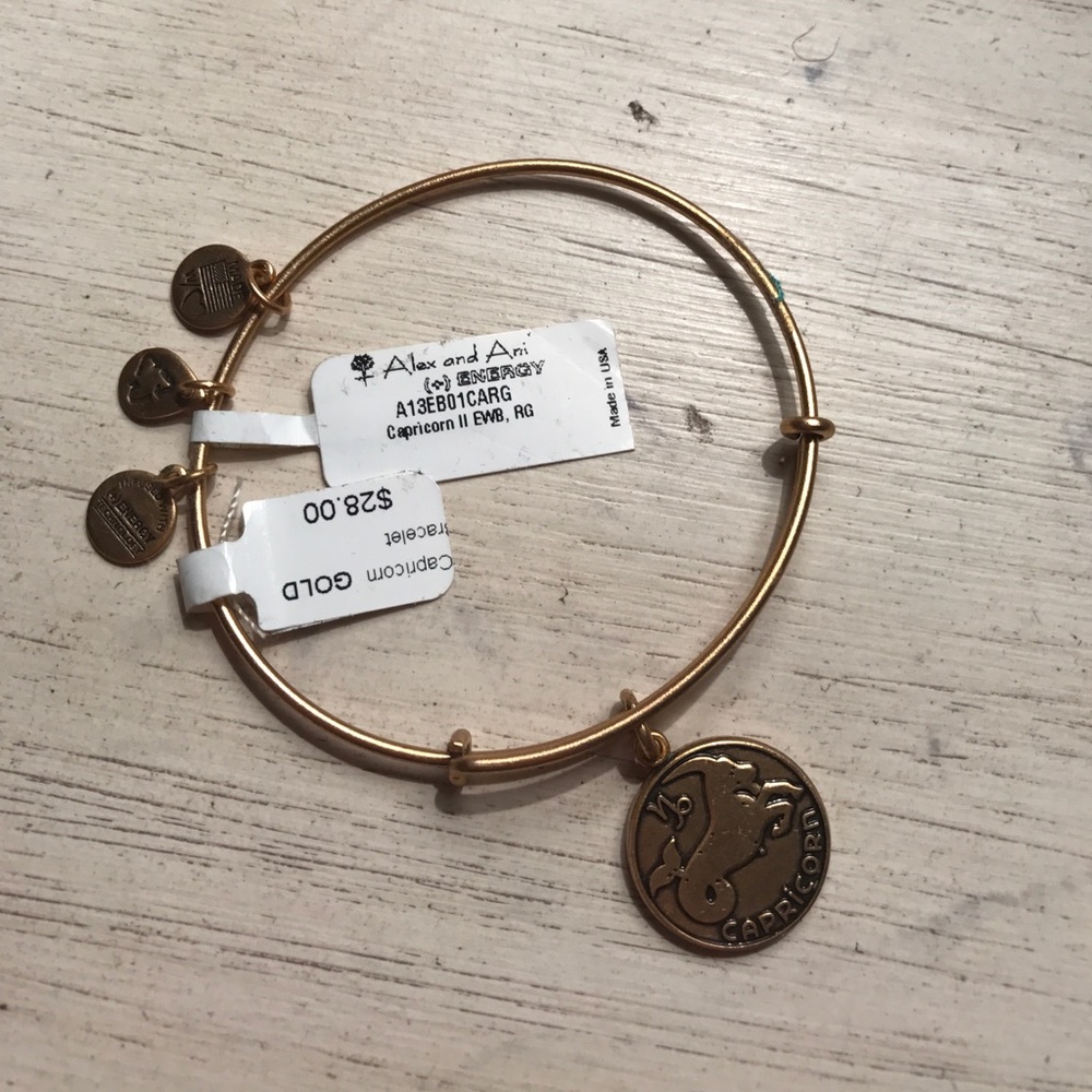 Alex and Ani Capricorn Bracelet