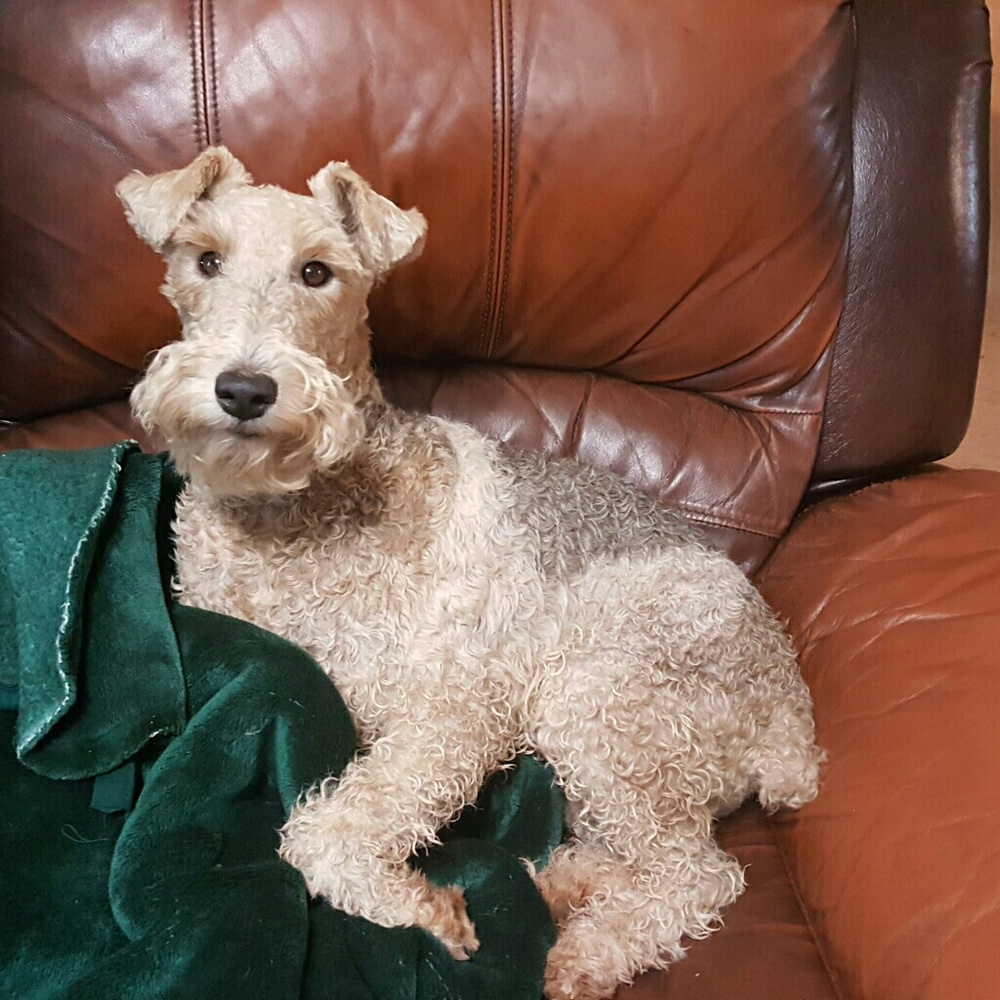 Meet your Posher, Lori