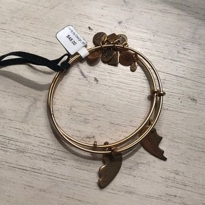 Alex and Ani Best Friends Bracelet Set