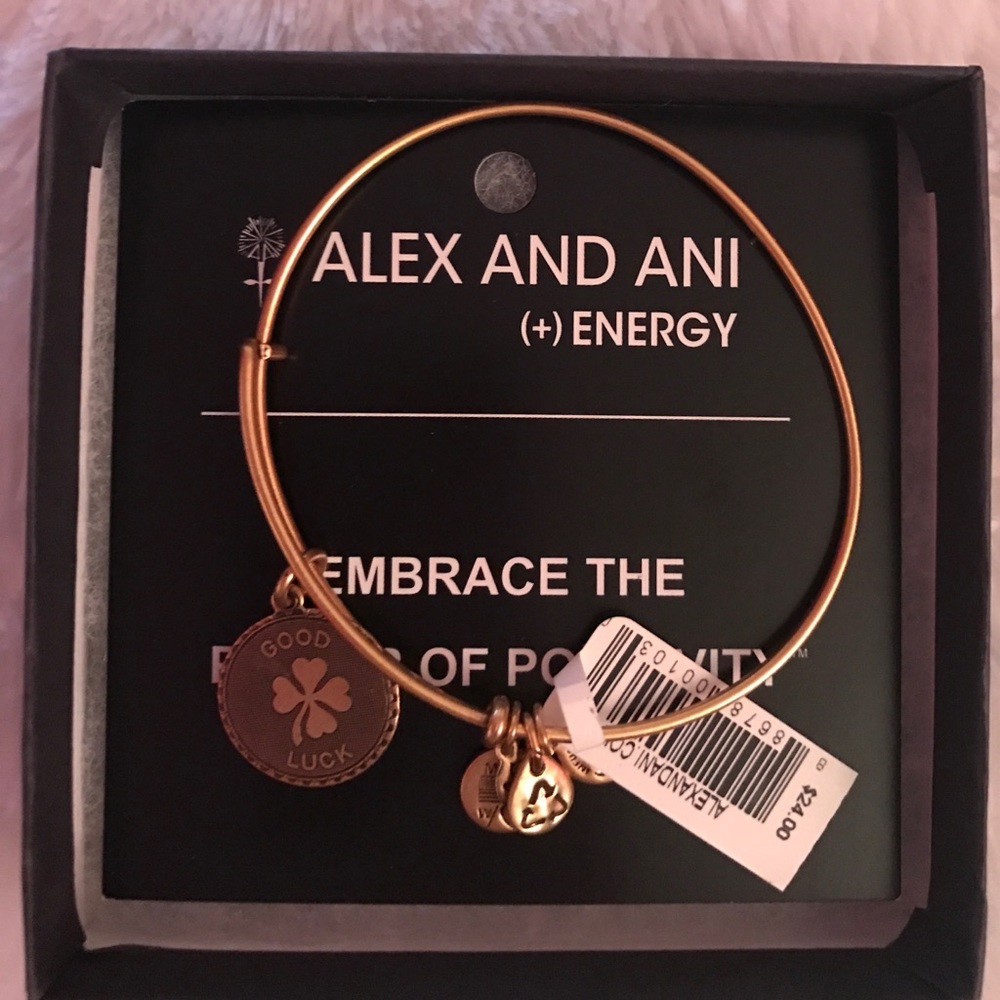 Alex and Ani Gold Bracelet