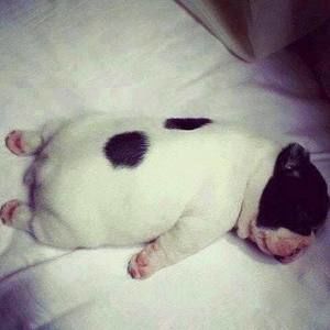 Meet your Posher, Katelyn