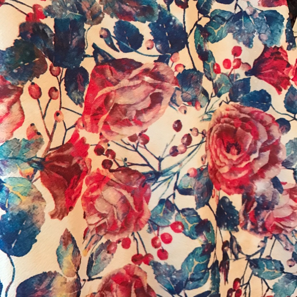 🌸🌹🌷 LLR Beauty & the Beast ROSE PRINT Cassie 2X