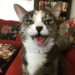 Meet your Posher, April