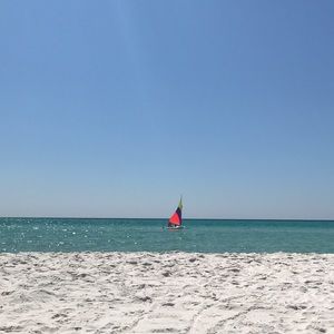 Meet your Posher, Nora